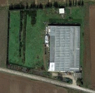 Bird view